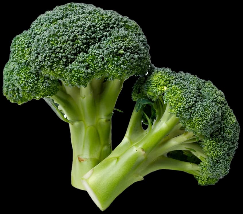 Broccoli