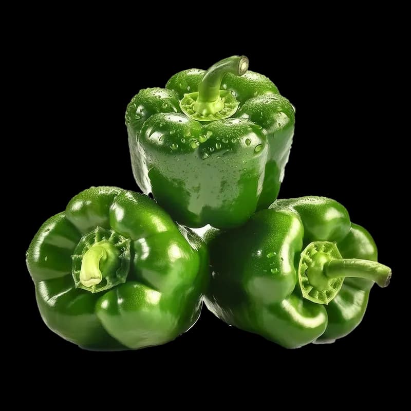 Capsicum Green