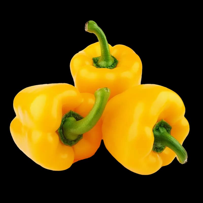 Capsicum Yellow