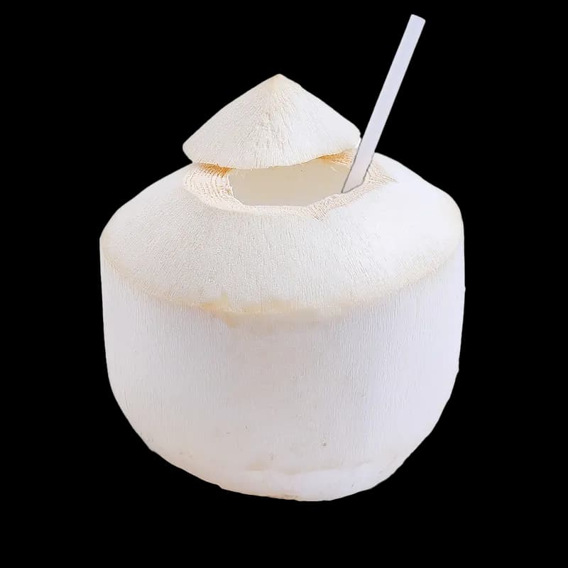 Coconut Drinking