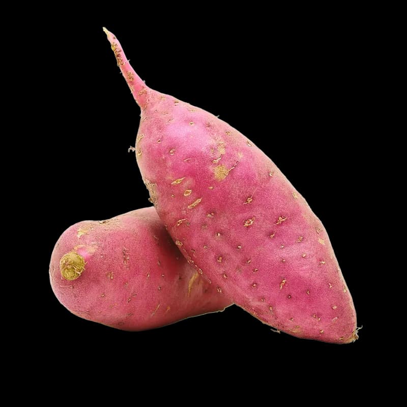 Kumara Red