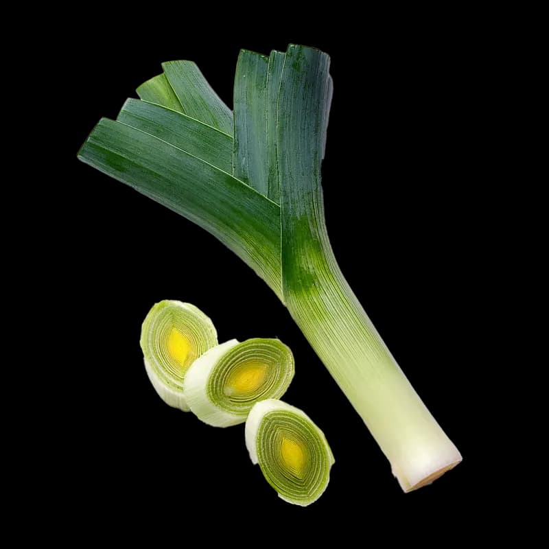 Leek