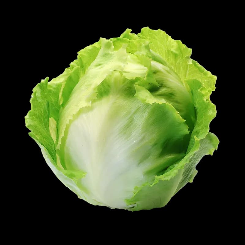 Lettuce