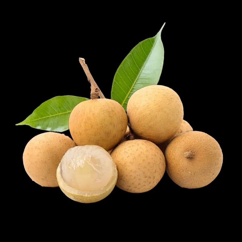 Longan