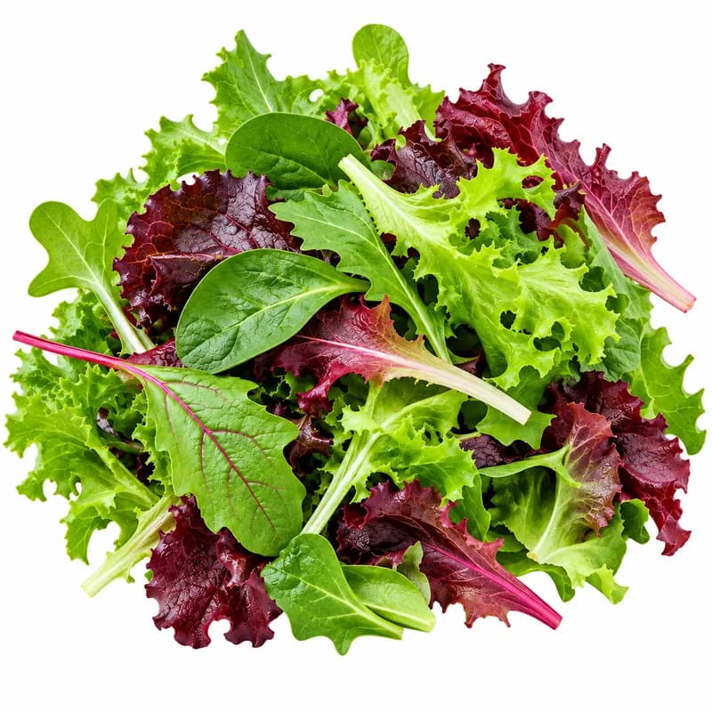 Mesclun