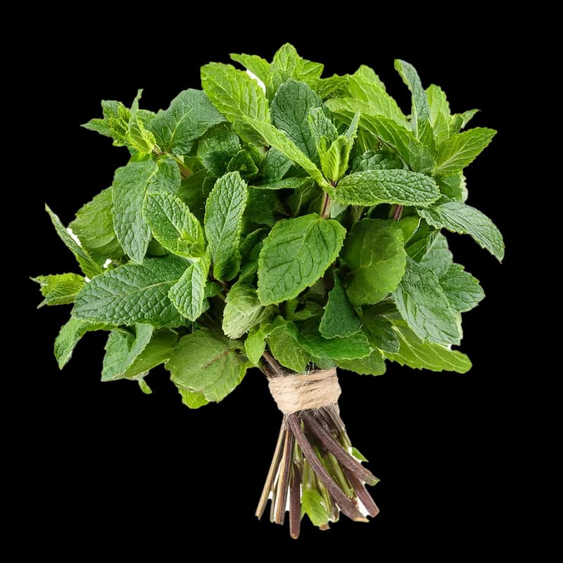 Mint