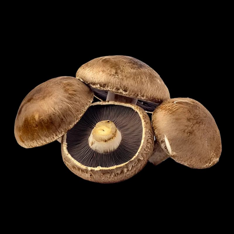 Mushrooms Brown