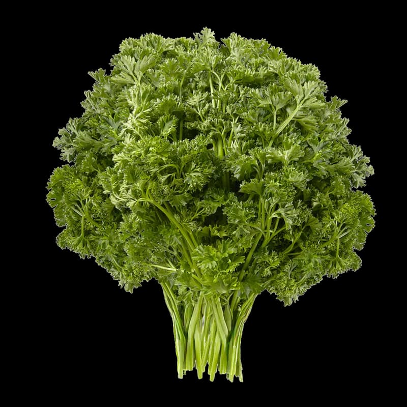 Parsley
