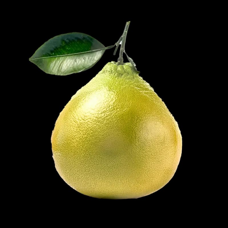 Pomelo