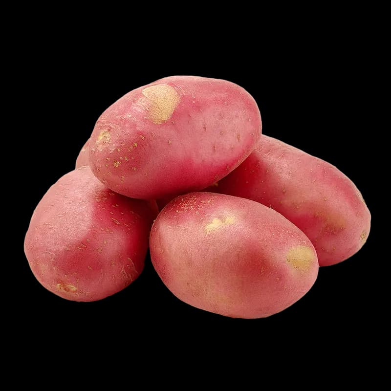 Potatoes Red