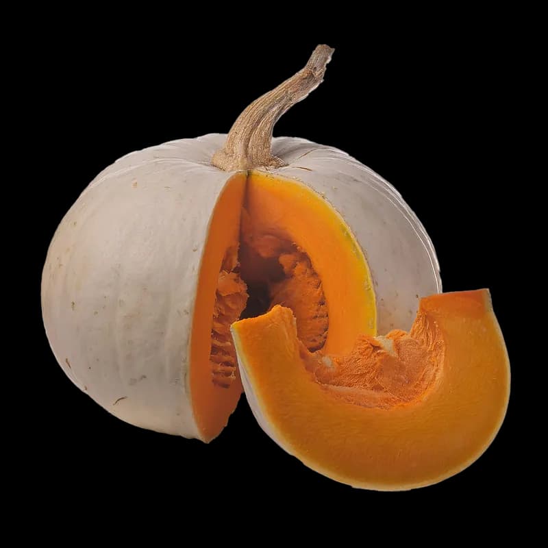 Pumpkin