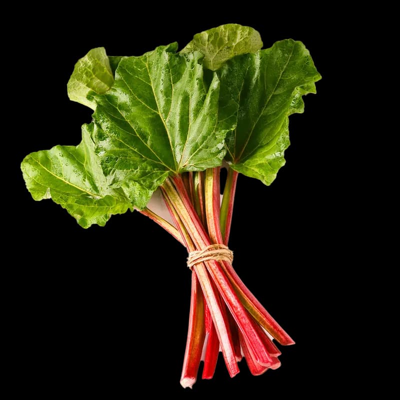 Rhubarb