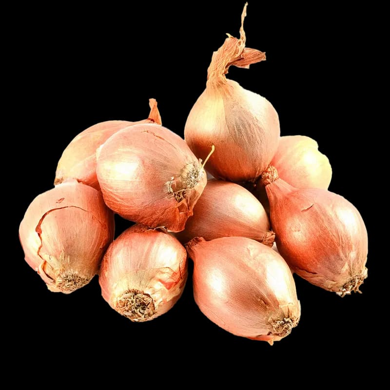Shallots