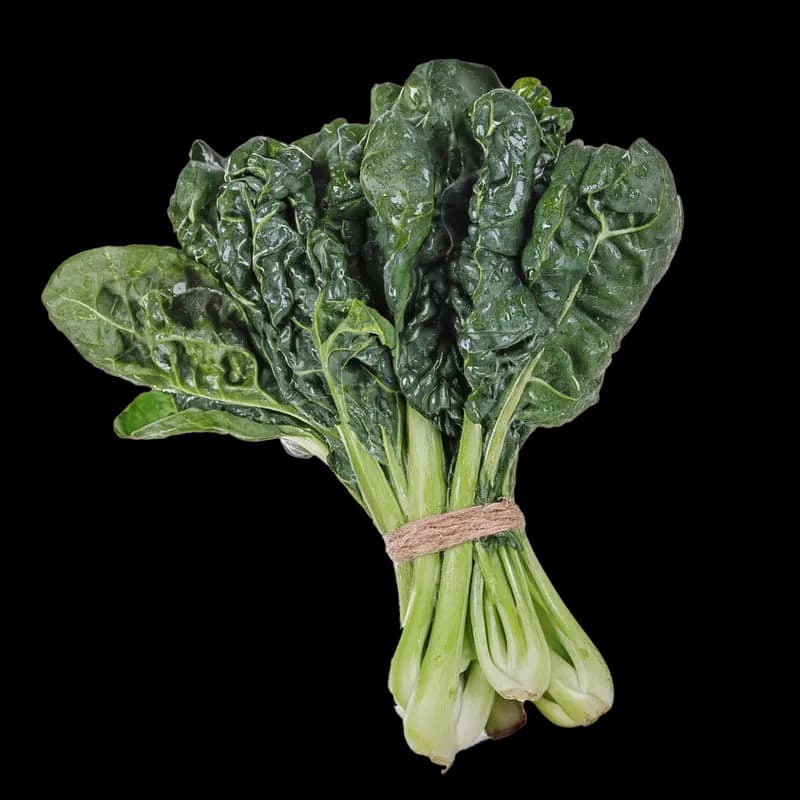 Silverbeet