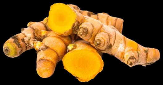 Fiji Yellow Turmeric