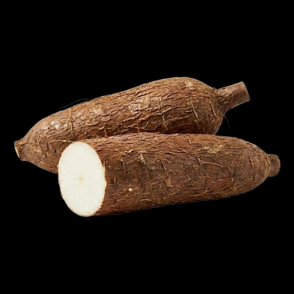 Fiji Cassava