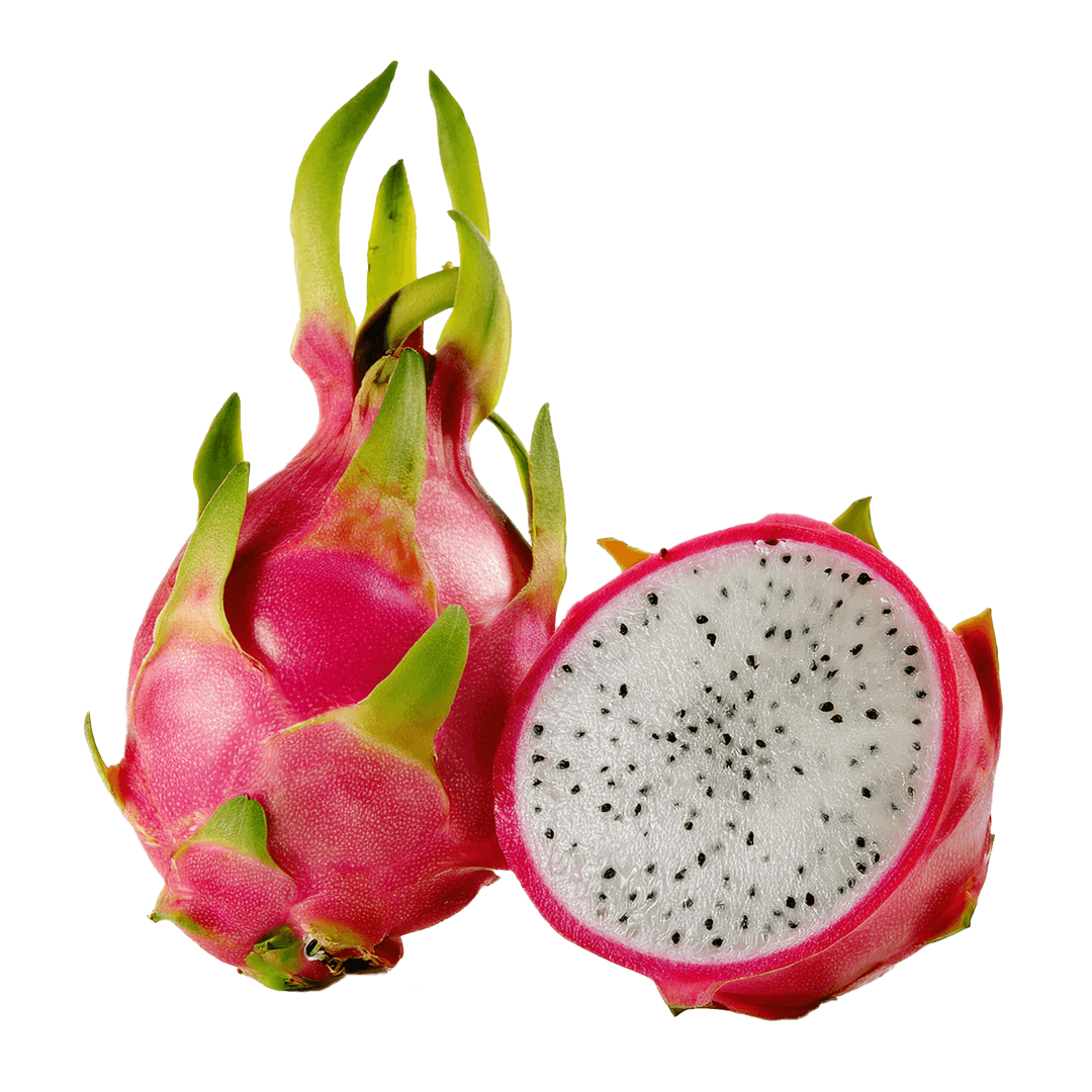 Dragon Fruit WHITE
