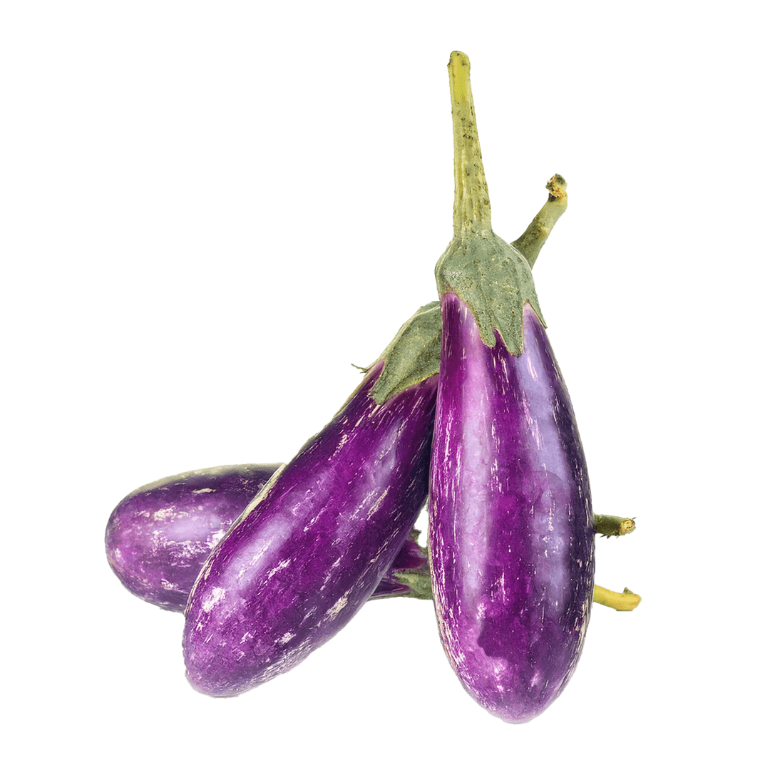 Fiji Eggplant