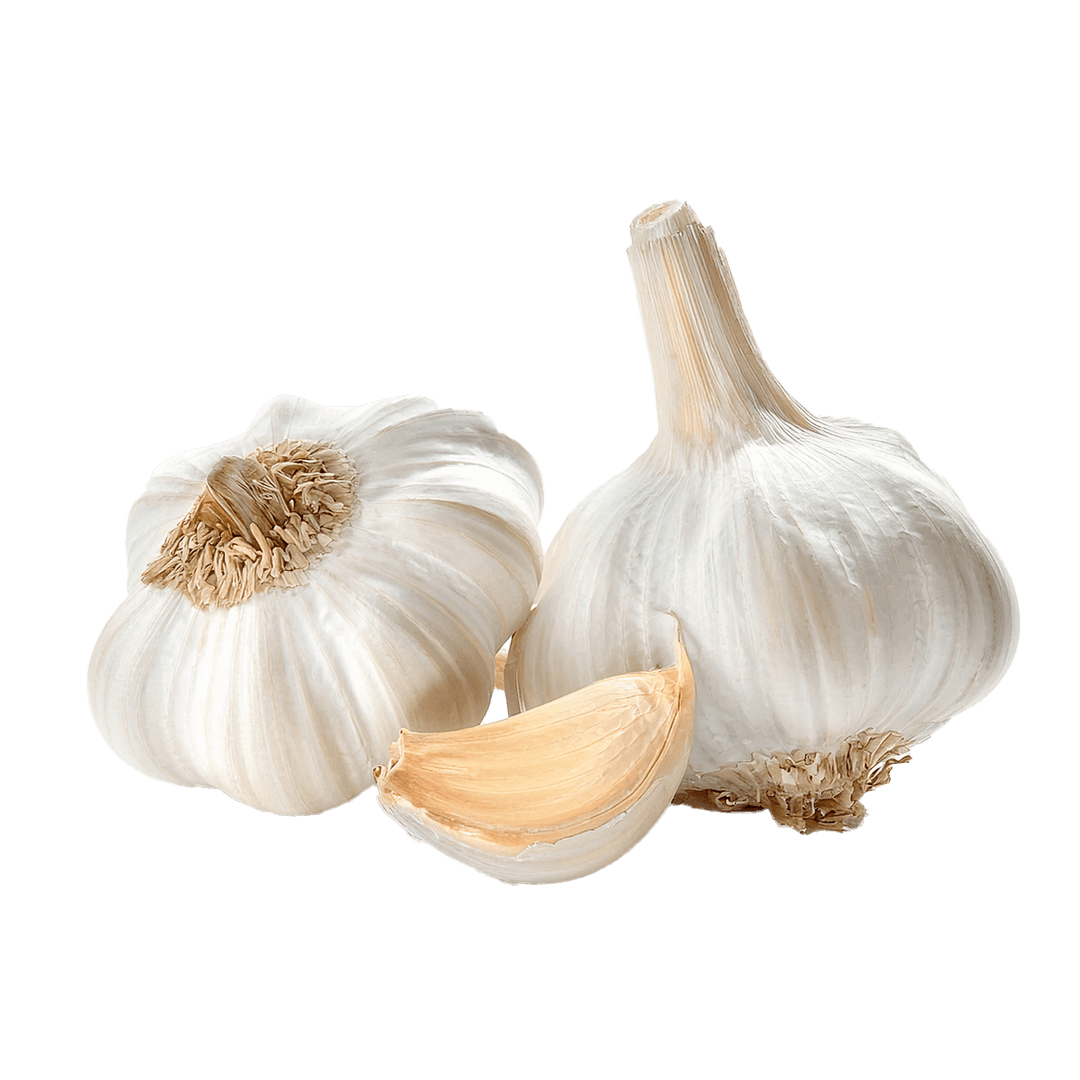 Garlic USA