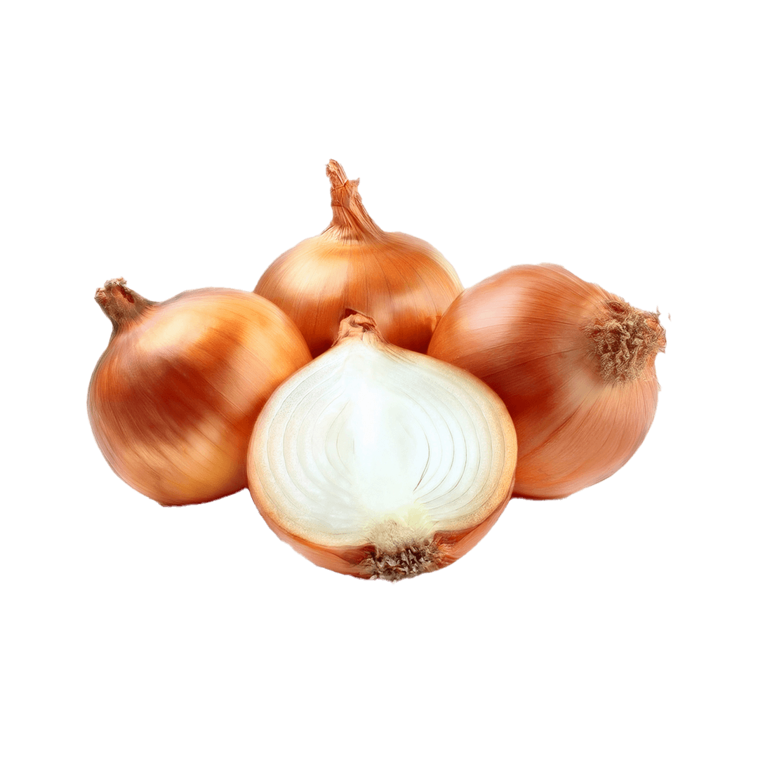 Onion Jumbo 10KG