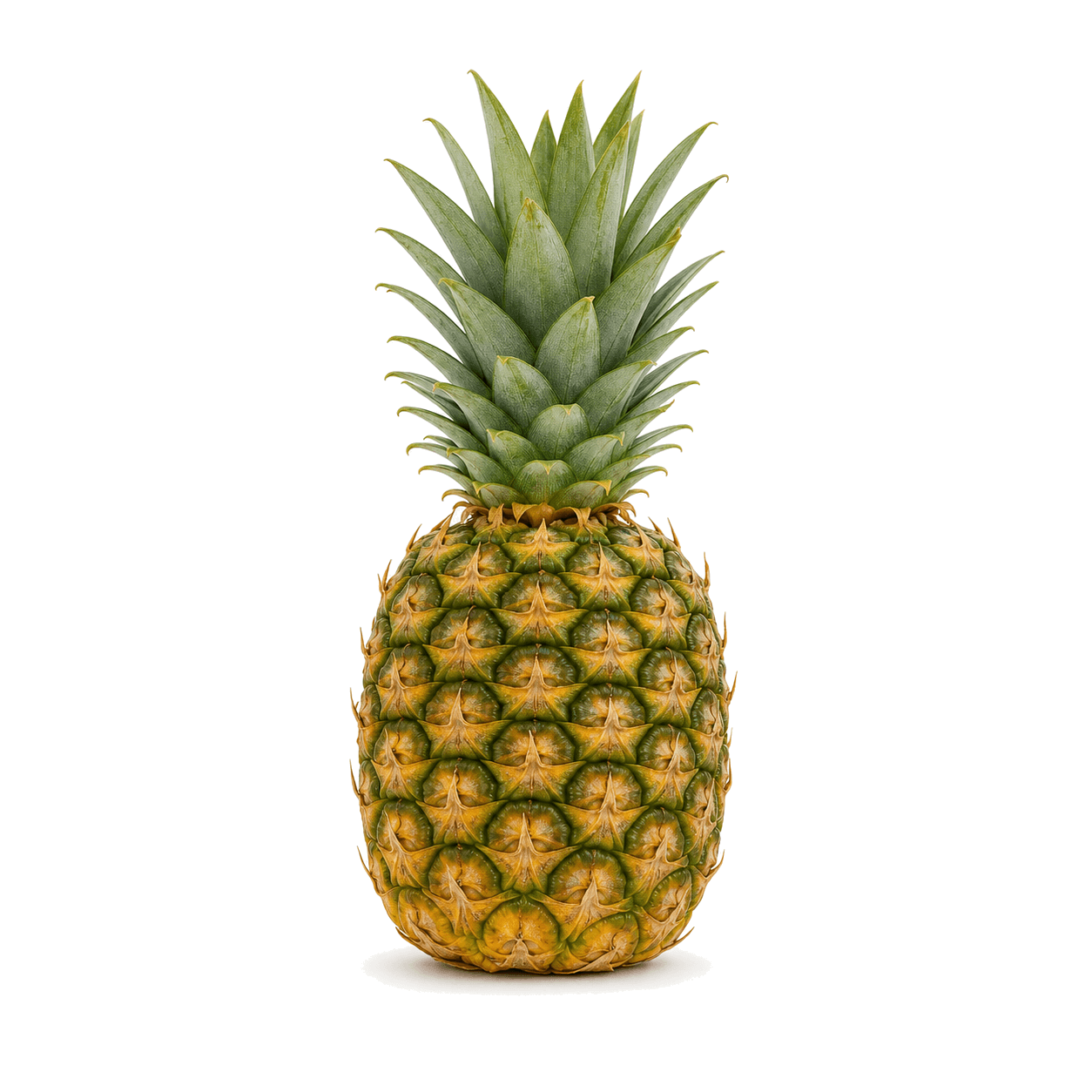 Pineapple Small