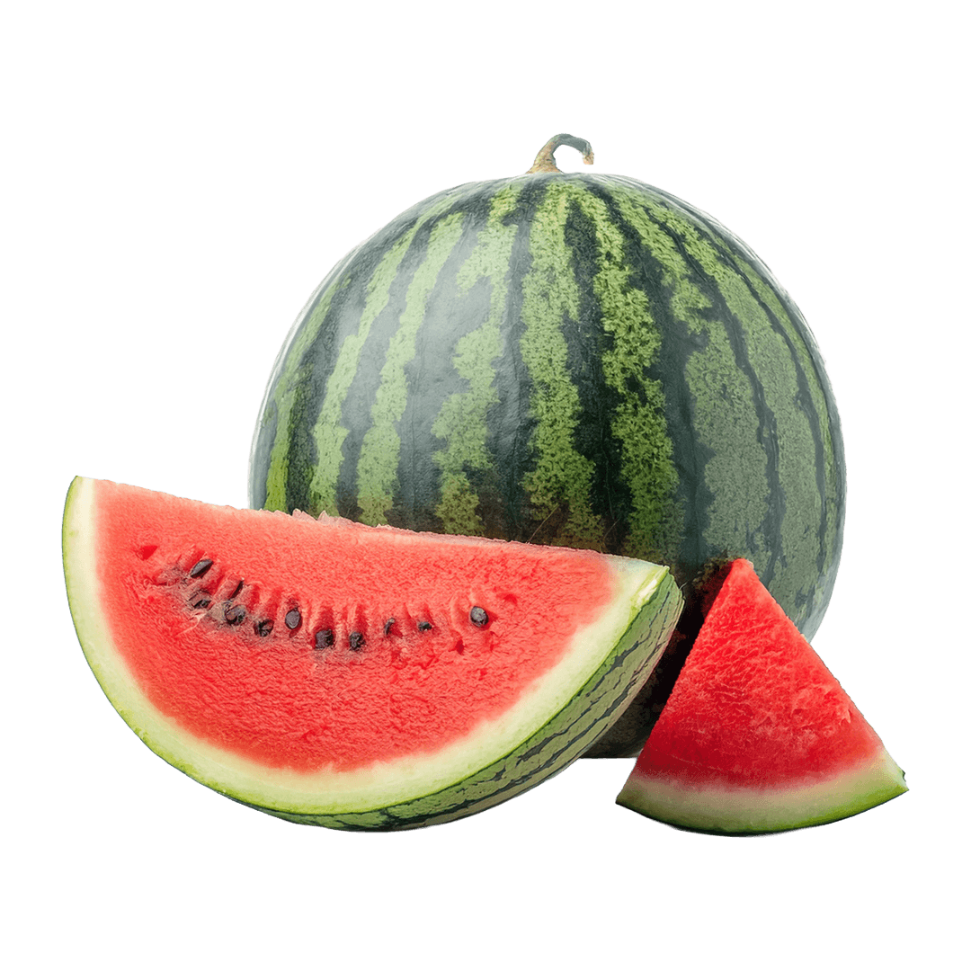 Watermelon MEDIUM
